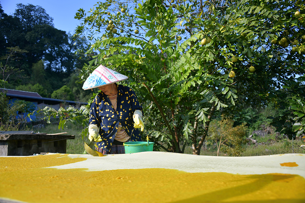 Giấy giang Pà Cò, khi hồn rừng về phố thị- Ảnh 8.