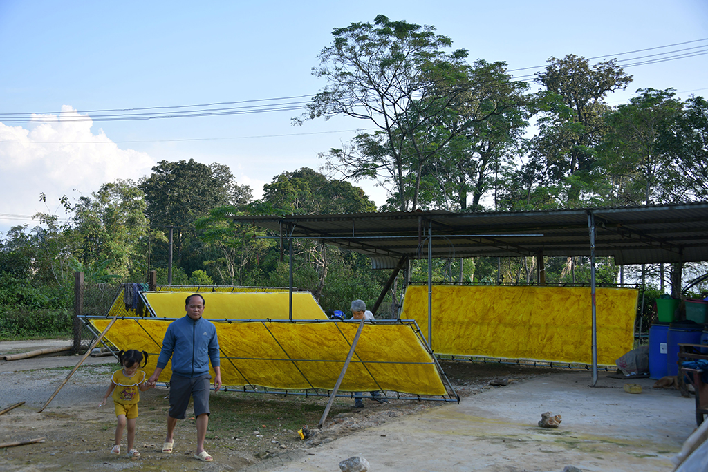 Giấy giang Pà Cò, khi hồn rừng về phố thị- Ảnh 10.