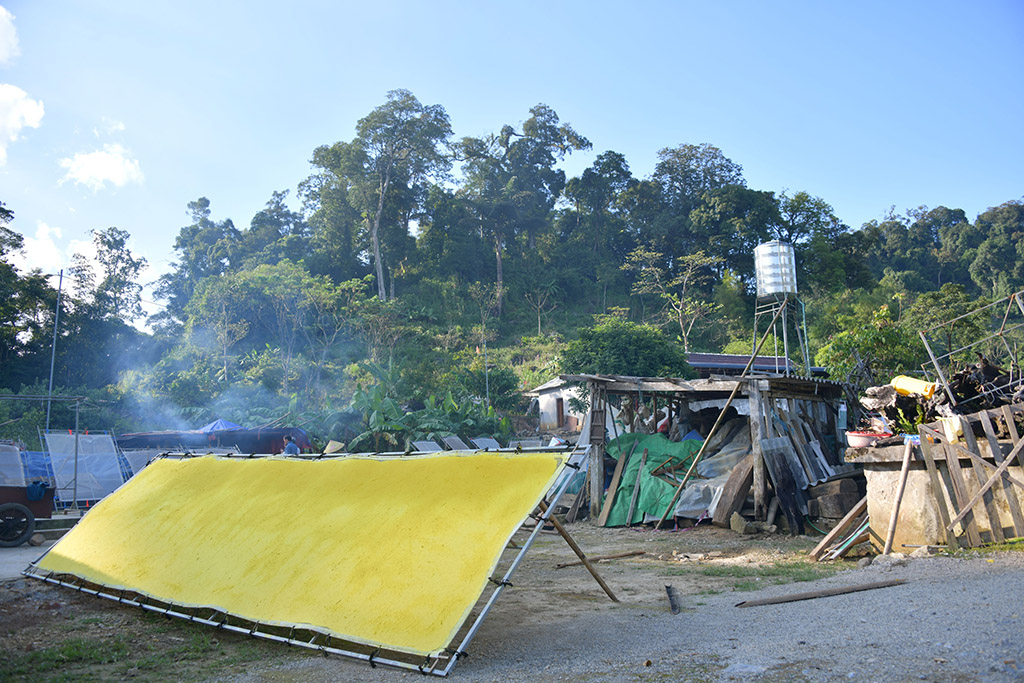 Giấy giang Pà Cò, khi hồn rừng về phố thị- Ảnh 11.