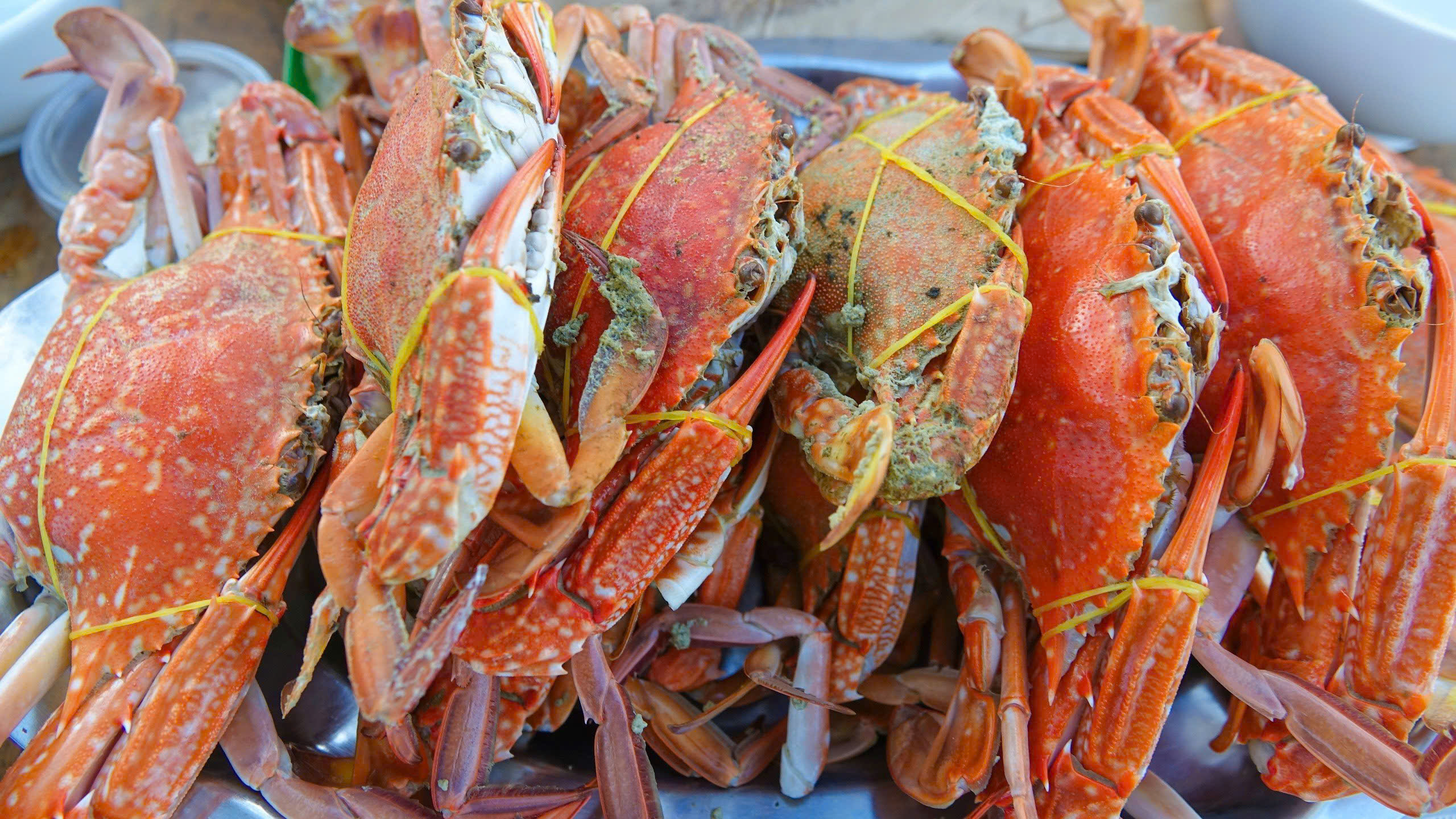 Đến đảo Hải Tặc, du khách mê câu cá, lặn ngắm san hô, nghe chuyện 'hải tặc' huyền bí 4 đảo Hải Tặc - Ảnh 4.