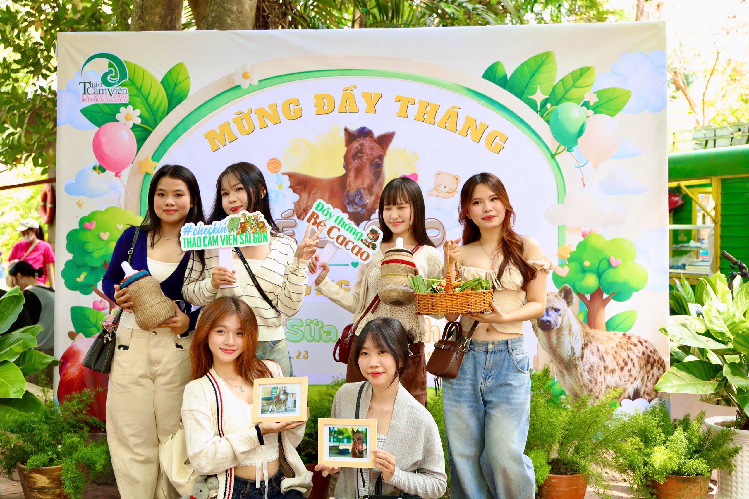 Ngựa lùn Cacao khỏe mạnh sau 1 tháng tuổi tại Thảo Cầm Viên 7 Ngựa lùn Cacao khỏe mạnh sau 1 tháng tuổi tại Thảo Cầm Viên - Ảnh 7.