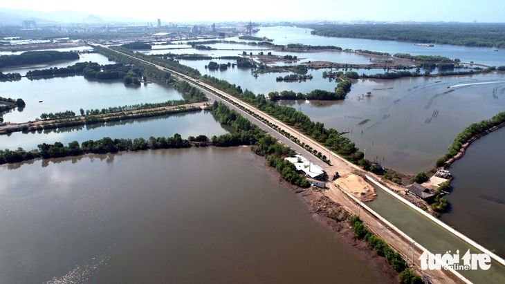 Ngắm cầu Phước An có độ tĩnh không lớn nhất Việt Nam sắp về đích 9 cầu Phước An - Ảnh 9.