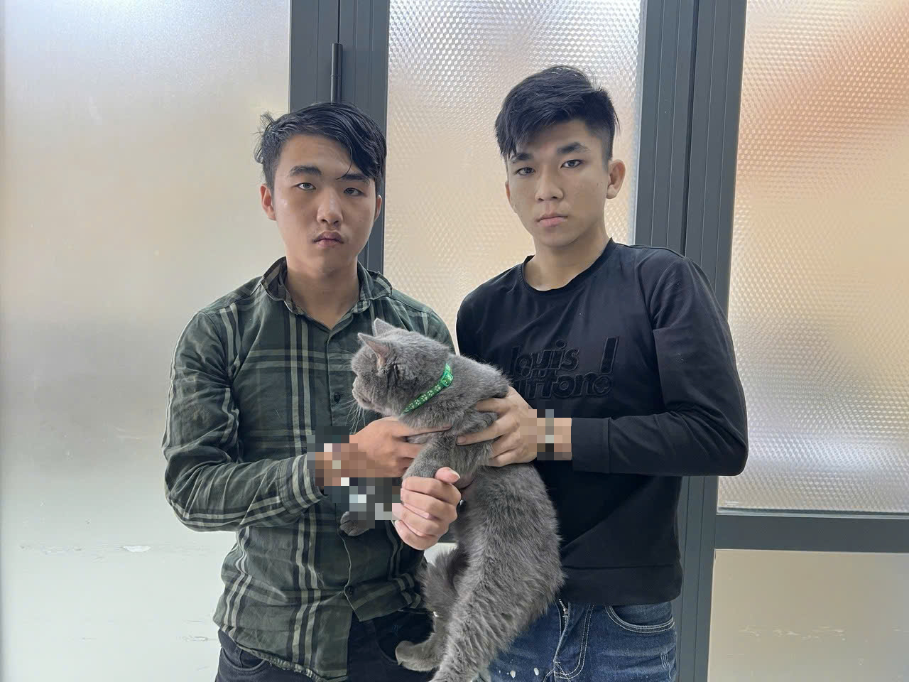 Cảnh sát hình sự bắt 3 người trộm chó bandog và mèo lông xám ở TP.HCM 2 công an TP.HCM - Ảnh 2.