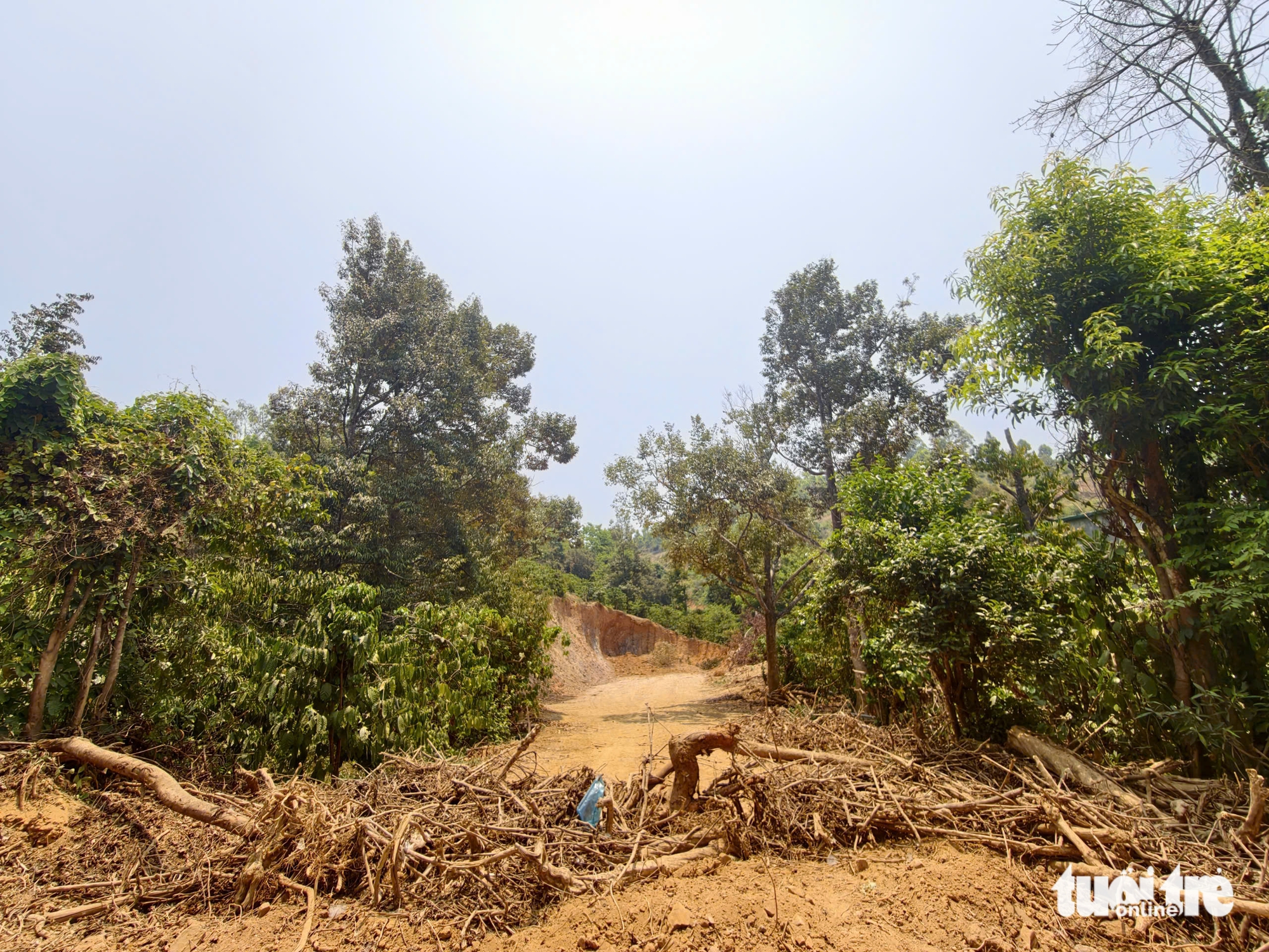 múc đất - Ảnh 9.