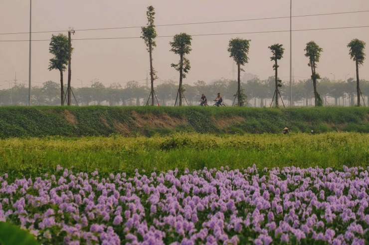 Điểm đến nằm sát đường lớn, du khách hãy chú ý quan sát để đảm bảo an toàn, không xả bừa bãi. Ảnh: Tuyên Parafu