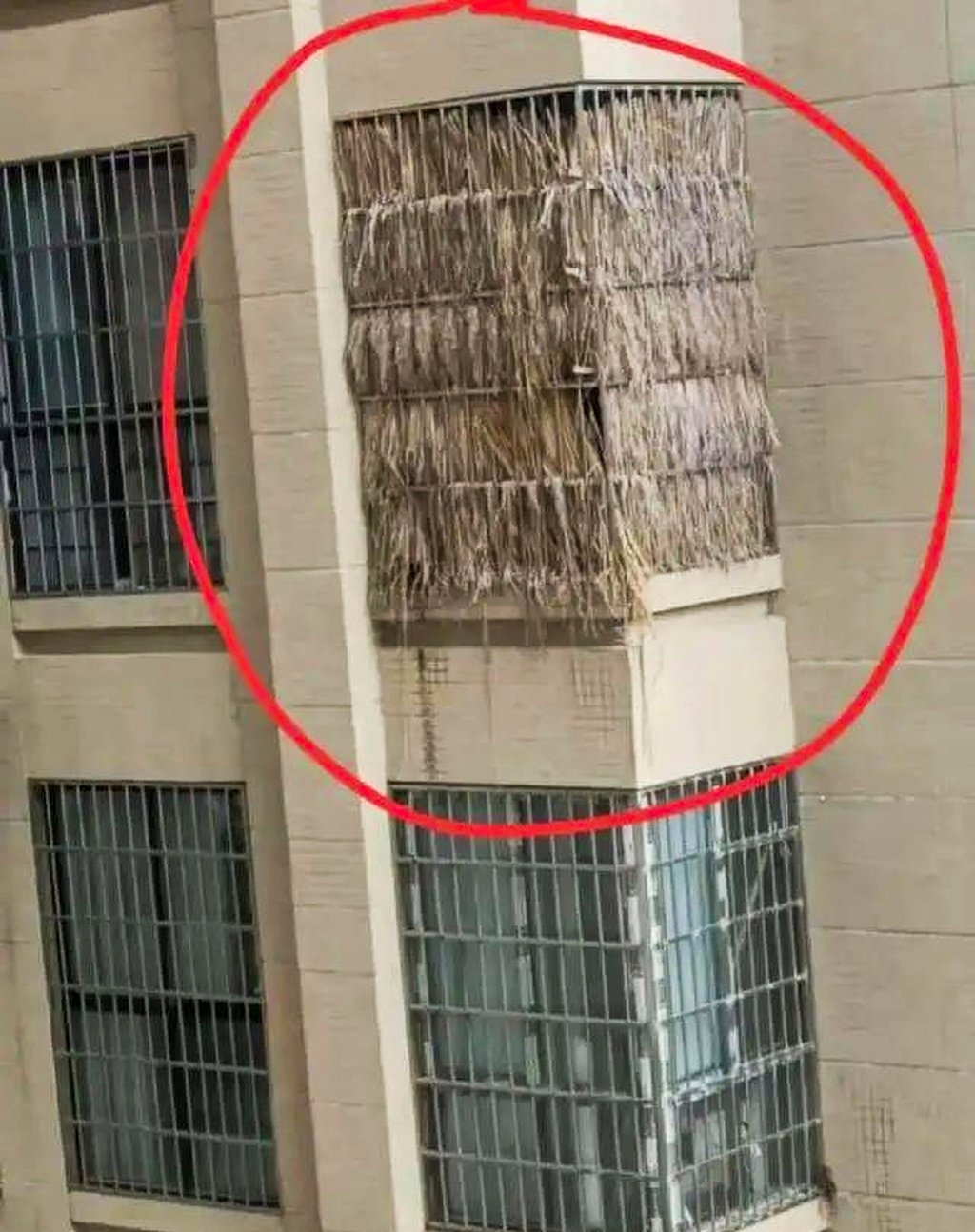 Người dân Trung Quốc mua chung cư để tro cốt vì đất nghĩa trang đắt gấp 10 lần đất ở- Ảnh 3.