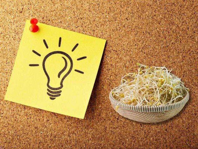 Loại rau rẻ bèo bổ xương lại tốt cho tim mạch, bán đầy chợ Việt nhưng rất dễ nhiễm hóa chất nếu không biết phân biệt 5 Loại rau rẻ bèo bổ xương lại tốt cho tim mạch, bán đầy chợ Việt nhưng rất dễ nhiễm hóa chất nếu không biết phân biệt - 4