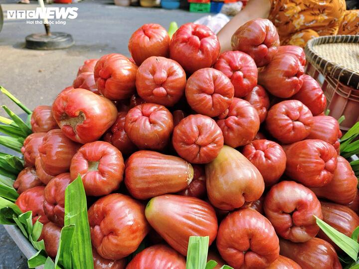 3-4 trái mận hồng giá 200.000 đồng, khách vẫn xuống tiền mua- Ảnh 1.