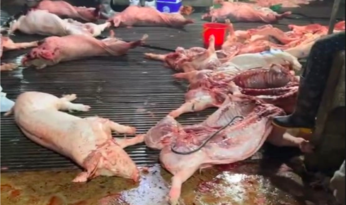 Bên trong lò mổ, nơi bị công an phát hiện. Ảnh:Công an Hà Nội