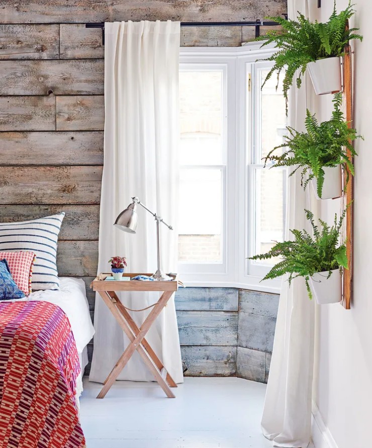 5 loại cây cảnh không nên mua kẻo phí tiền, phí sức- Ảnh 1.