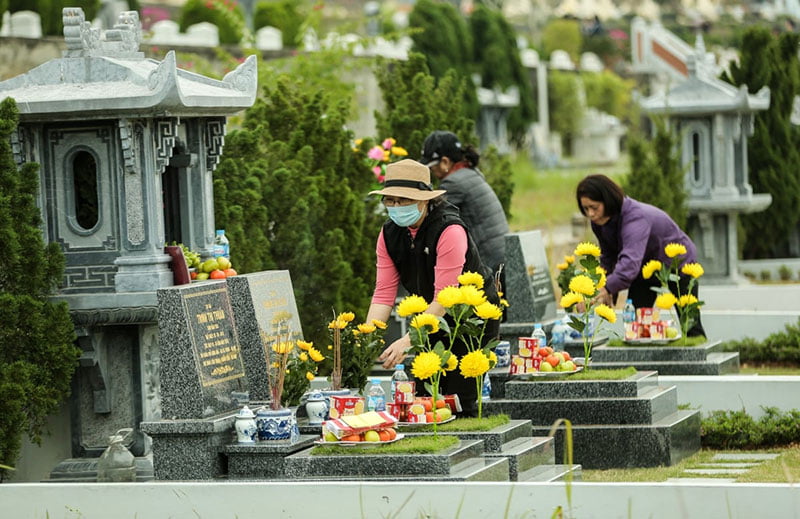 5 loại cây nên trồng trước mộ phần thêm phúc khí cho tổ tiên và con cháu - Ảnh 1.