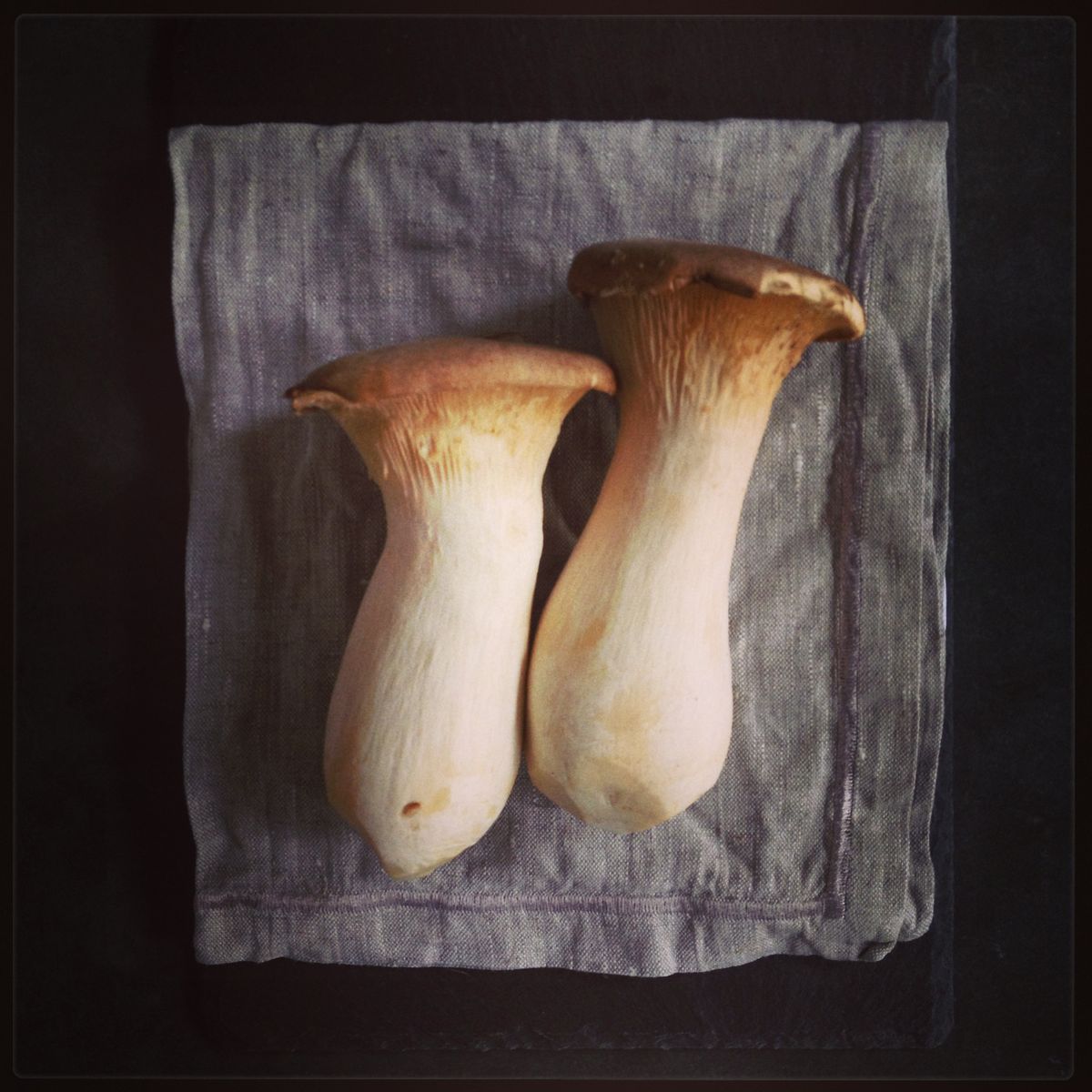 “Bào ngư chay” được giới ăn lành yêu thích, không chỉ giúp bạn tăng miễn dịch mà còn giữ dáng dễ dàng- Ảnh 1.