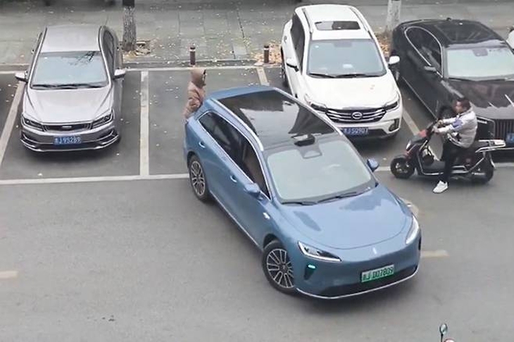 Bị chắn đường khi lùi vào chỗ đỗ, tài xế dùng chiêu gây ngỡ ngàng 1 lùi chuồng - Ảnh 1.