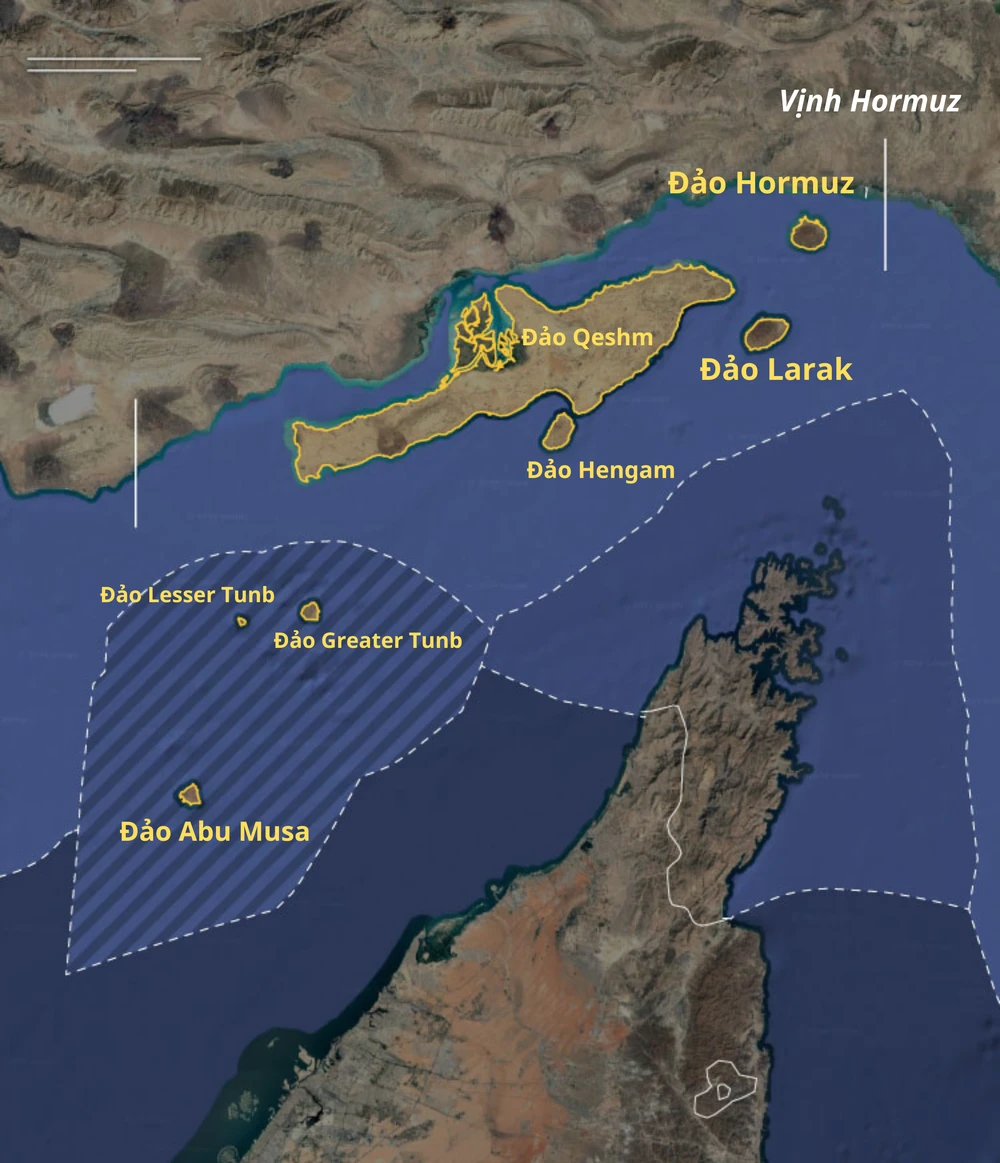 Thêm nội dung văn bản.png