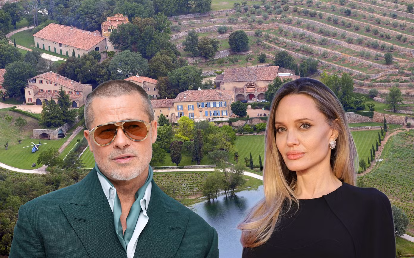 Brad Pitt chỉ trích gay gắt Angelina Jolie- Ảnh 1.