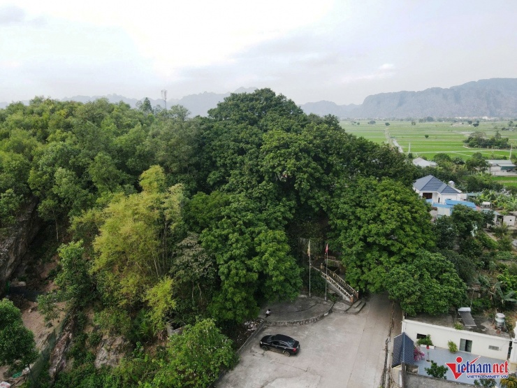 Cả làng bảo vệ báu vật hàng trăm tuổi trên đồi Bích Sơn ở Ninh Bình 1 Đồi Bích Sơn nằm giữa khu dân cư, nơi đây có đền Bích Sơn và quần thể cây lim xanh cổ thụ