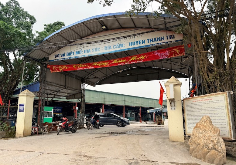 heo bệnh - Ảnh 1.