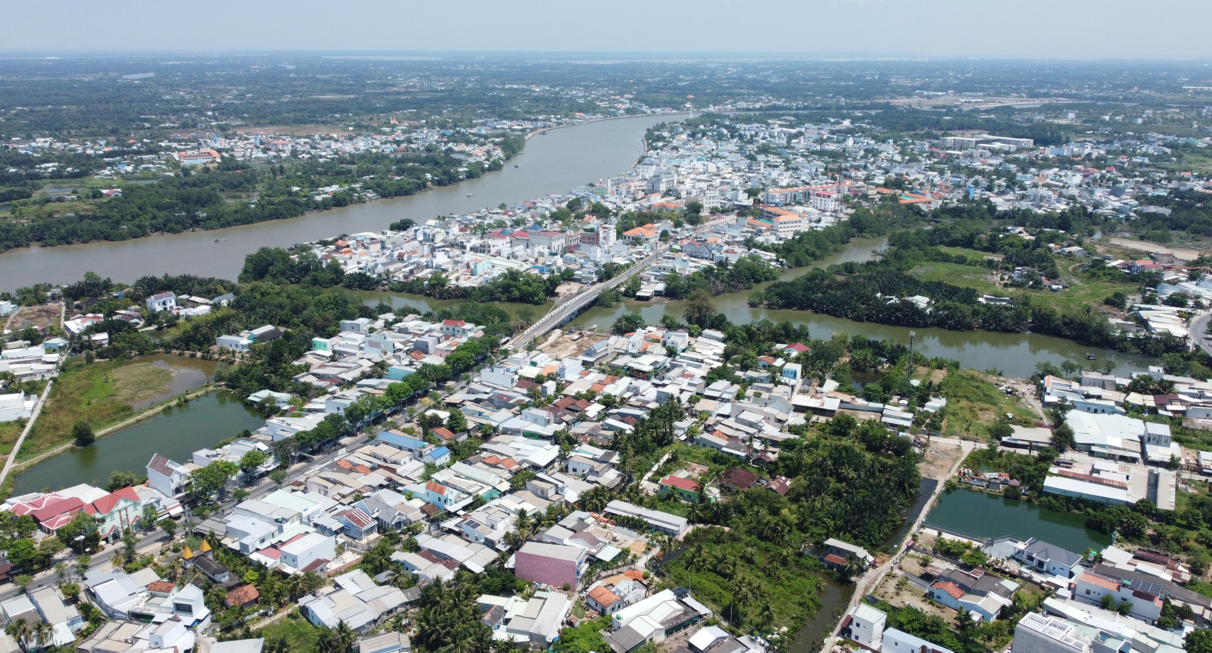 cần giuộc - Ảnh 1.