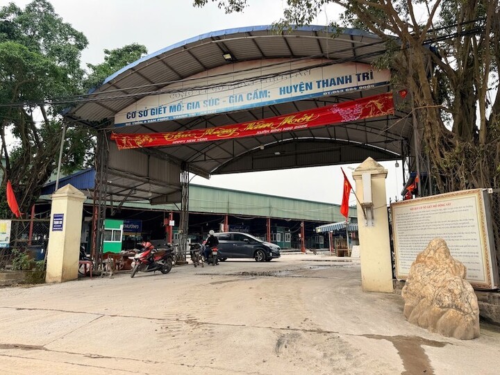 Vụ 300 tấn lợn bệnh tuồn vào bếp ăn trường học: Cán bộ kiểm dịch 