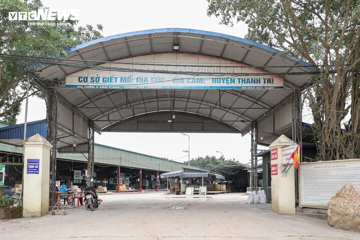 Cận cảnh lò mổ tuồn gần 300 tấn lợn bệnh vào trường học, chợ đầu mối ở Hà Nội- Ảnh 1.