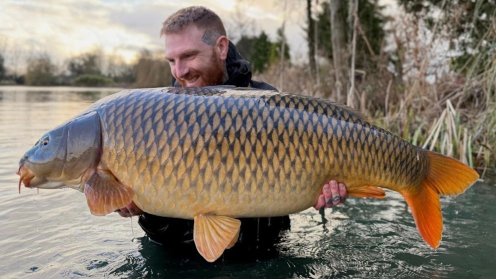 Cần thủ câu được con cá chép khổng lồ nặng gần 29kg - Ảnh 1.