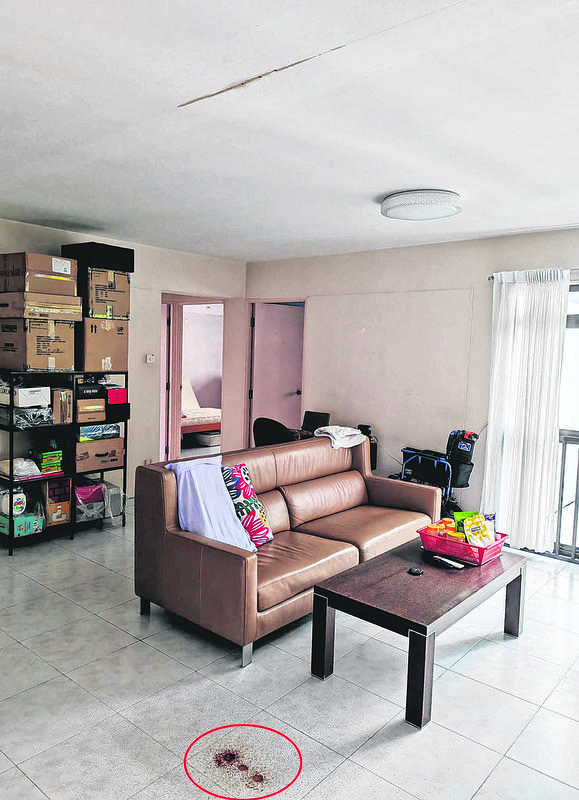 Vụ phát hiện cha và con gái tử vong trong 1 căn hộ ở Singapore: Chi tiết bất thường về thi thể người con- Ảnh 1. Vụ phát hiện cha và con gái tử vong trong 1 căn hộ ở Singapore: Chi tiết bất thường về thi thể người con- Ảnh 1.