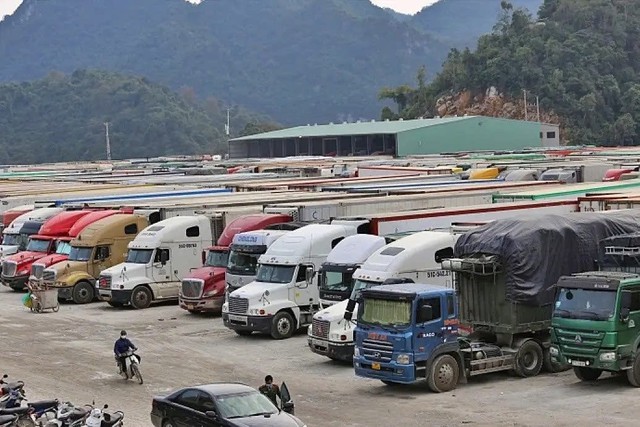 Nóng: Chính thức hoãn thi hành Nghị định 46 chờ hiệu lực luật An toàn thực phẩm - Ảnh 1.