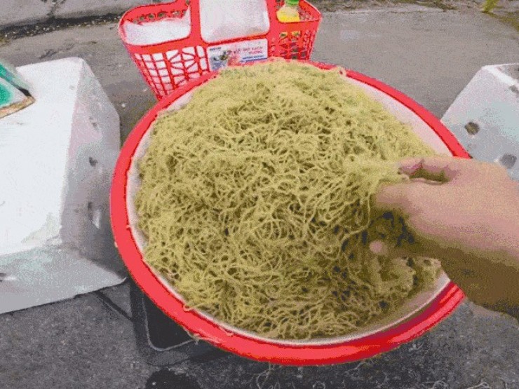 Đặc sản kỳ lạ ở Đà Nẵng trông như bún, ăn thanh mát, giòn ngon giống rau câu