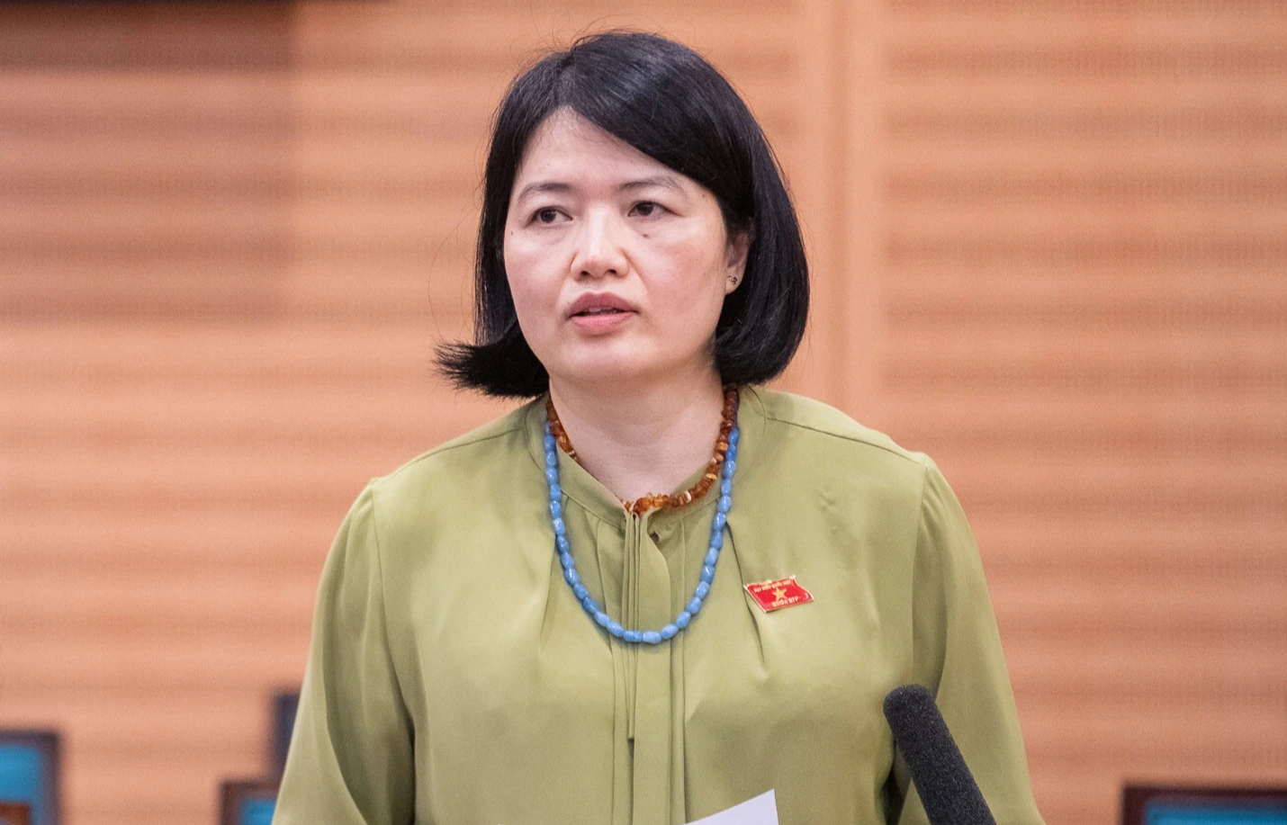 Đại biểu Quốc hội đề xuất cấm trẻ em dùng mạng xã hội - Ảnh 1.