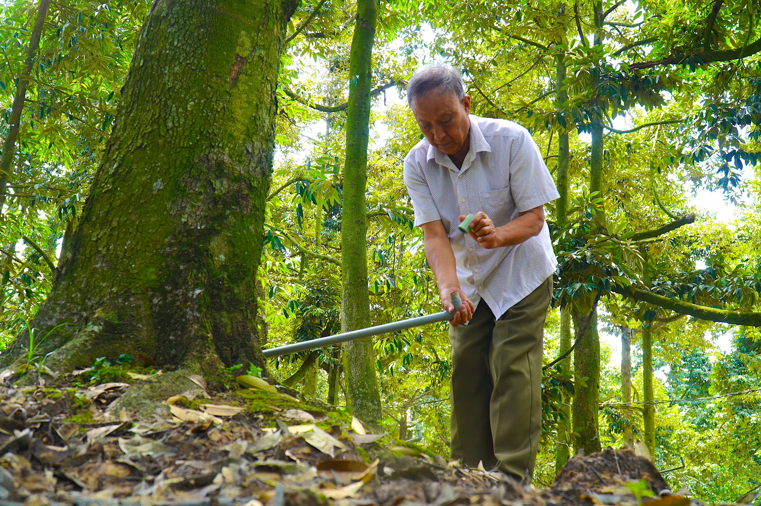 Đề xuất giải pháp đột phá đưa nguồn nước về vùng ngọt hóa Gò Công - Ảnh 1.