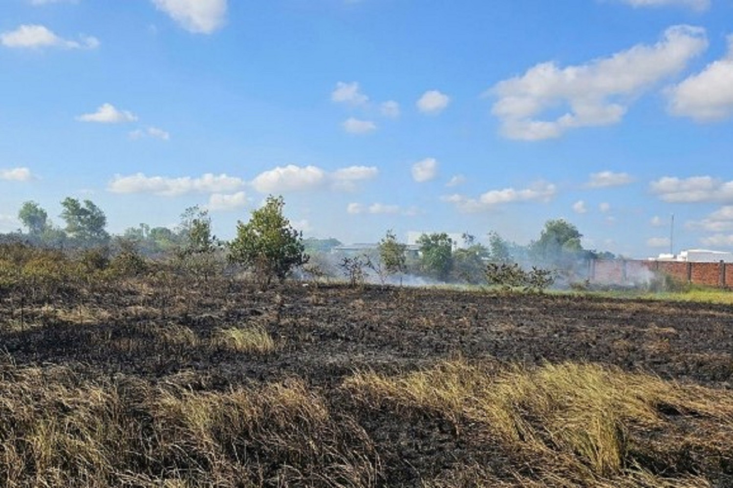 Đi đốt đồng cùng chồng, một phụ nữ ở Cần Thơ tử vong nghi do ngạt khói 1 Đi đốt đồng cùng chồng, một phụ nữ ở Cần Thơ tử vong nghi do ngạt khói - Ảnh 1.