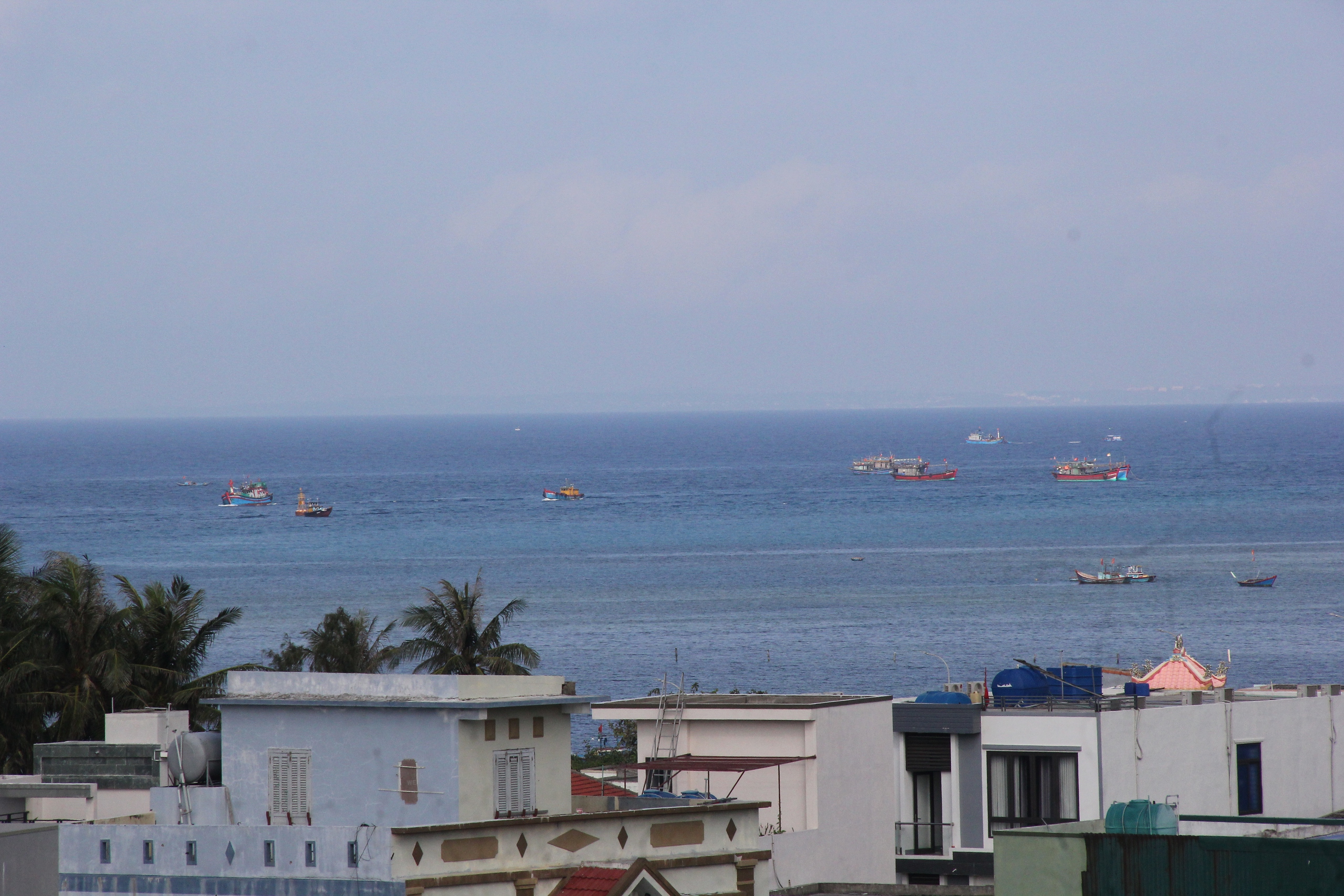 Điều chỉnh Khu bảo tồn biển Lý Sơn để hài hòa 'bảo tồn - phát triển' 1 Lý Sơn - Ảnh 1.