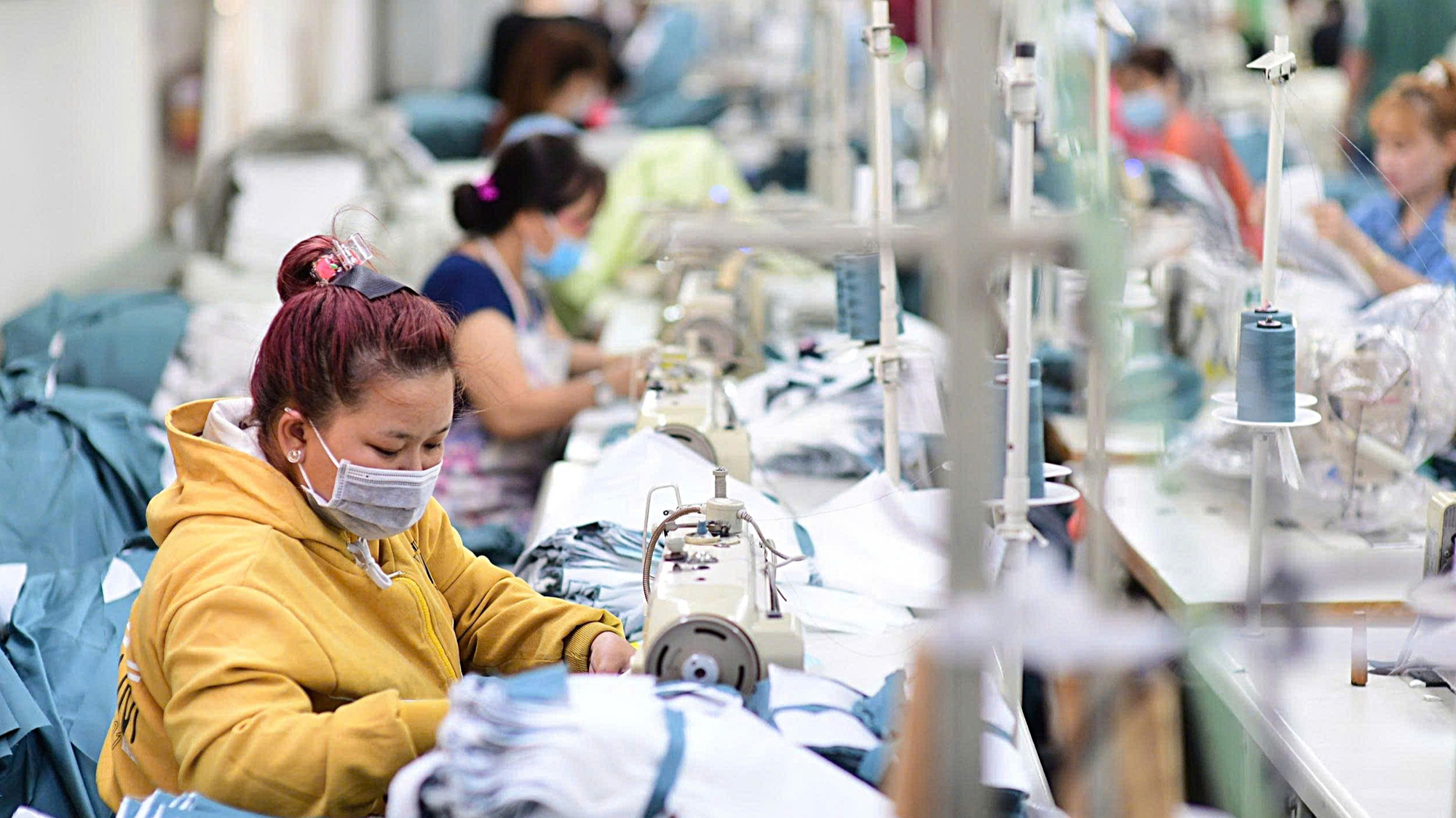 Doanh nghiệp đầu tư công nghệ để vượt 'bão' 1 doanh nghiệp - Ảnh 1.