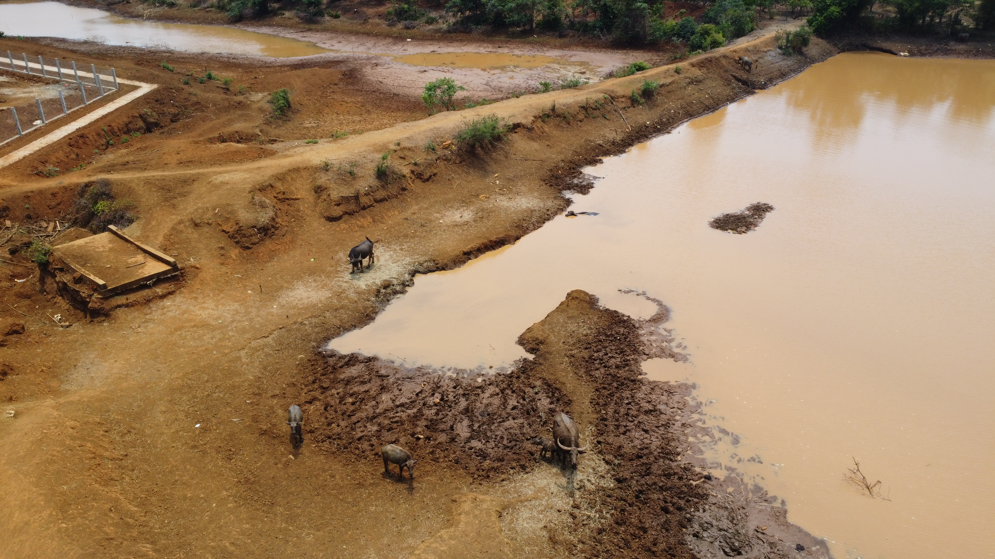 Đồng Nai hủy thầu gói thầu cải tạo suối chống hạn ở Lộc Ninh - Ảnh 1.