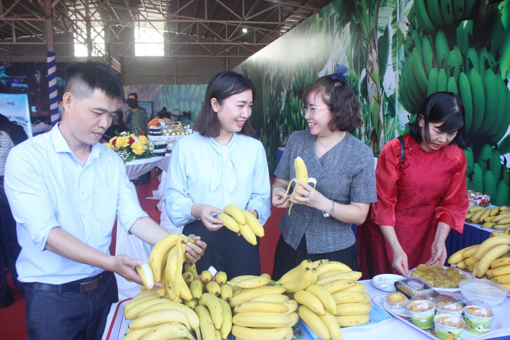 Đồng Nai xuất 220 tấn chuối tươi sang Nhật Bản, Hàn Quốc, Trung Quốc - 1