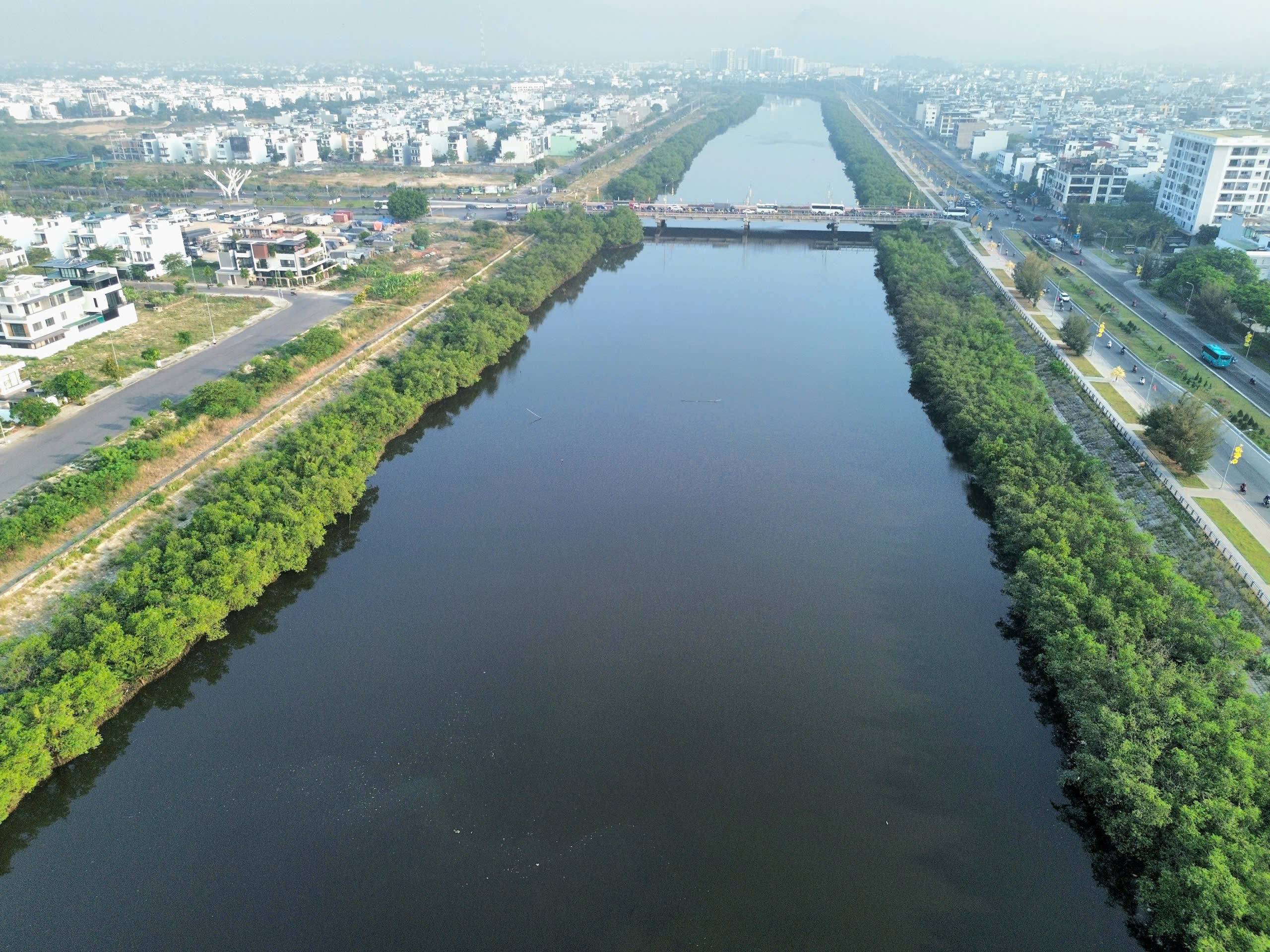 Dự án kè sông 590 tỉ ở Nha Trang ‘đứng bánh’ 5 năm vì... hai hàng cây - Ảnh 1.
