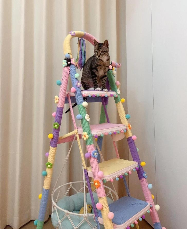 Dùng đồ gia dụng “ngược lại”, tôi tiết kiệm được gần một nửa chi phí mua sắm trong nhà- Ảnh 3. Dùng đồ gia dụng “ngược lại”, tôi tiết kiệm được gần một nửa chi phí mua sắm trong nhà- Ảnh 3.