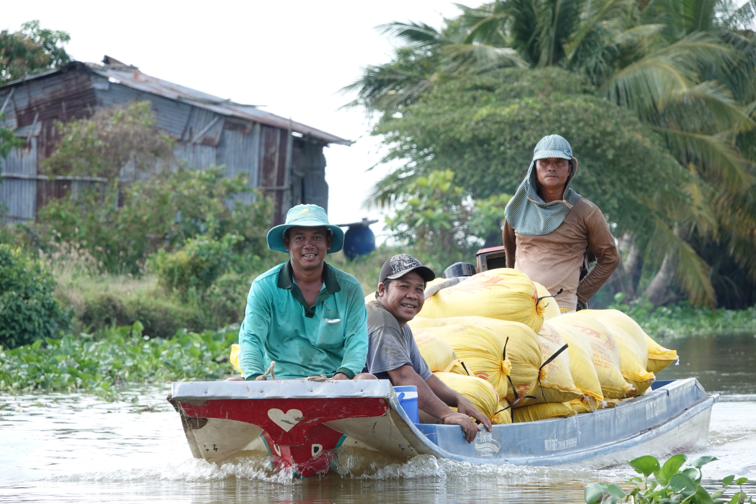 Gạo Việt Nam đang 'hot' trở lại, vì sao?- Ảnh 1.