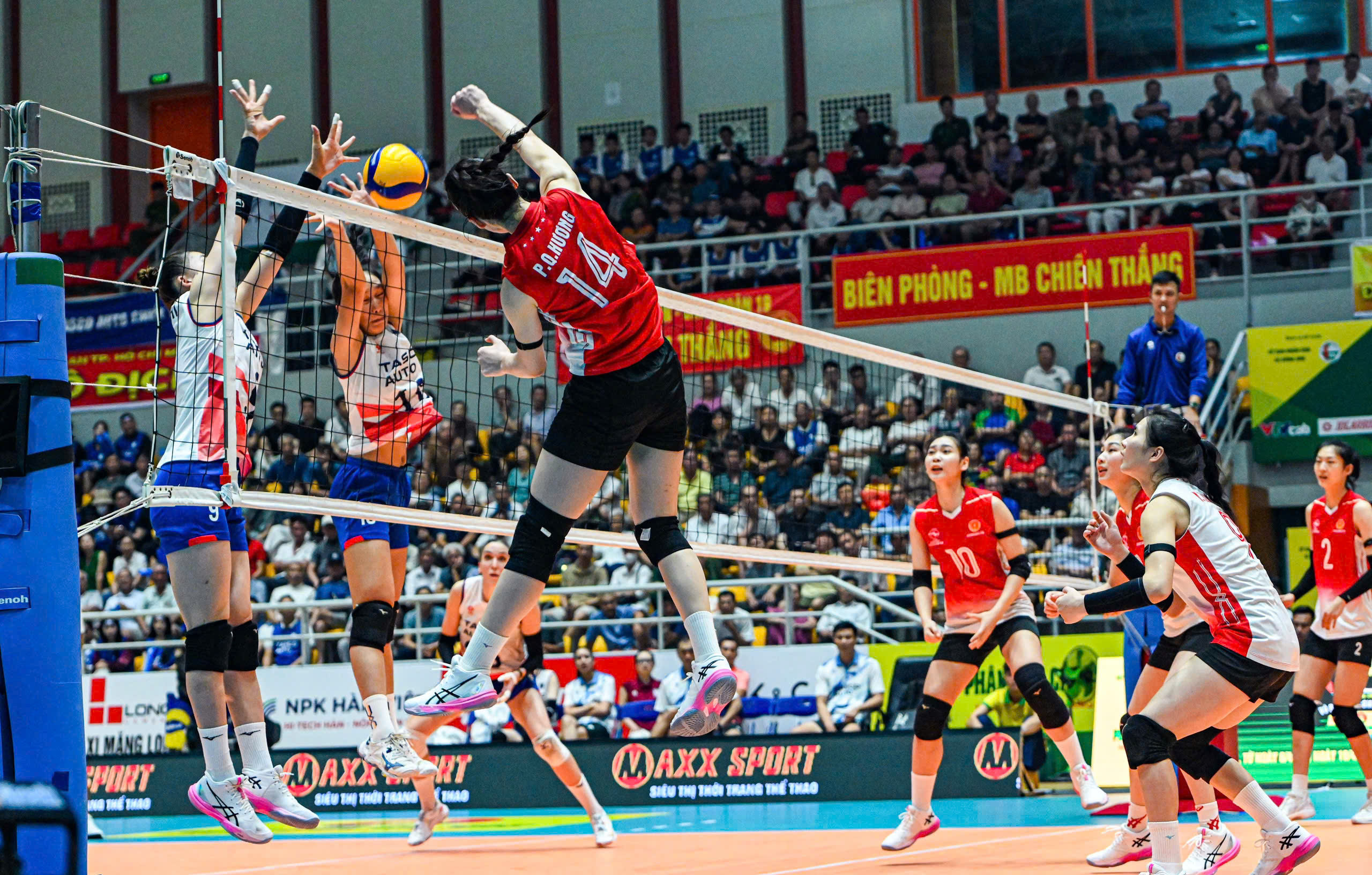 bóng chuyền - Ảnh 1.