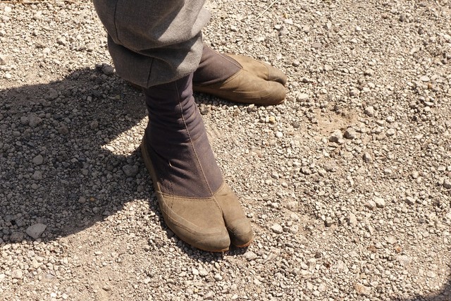 Tabi: Giày móng bò móng ngựa ngày càng nhiều người đi là kiểu giày gì?- Ảnh 1.