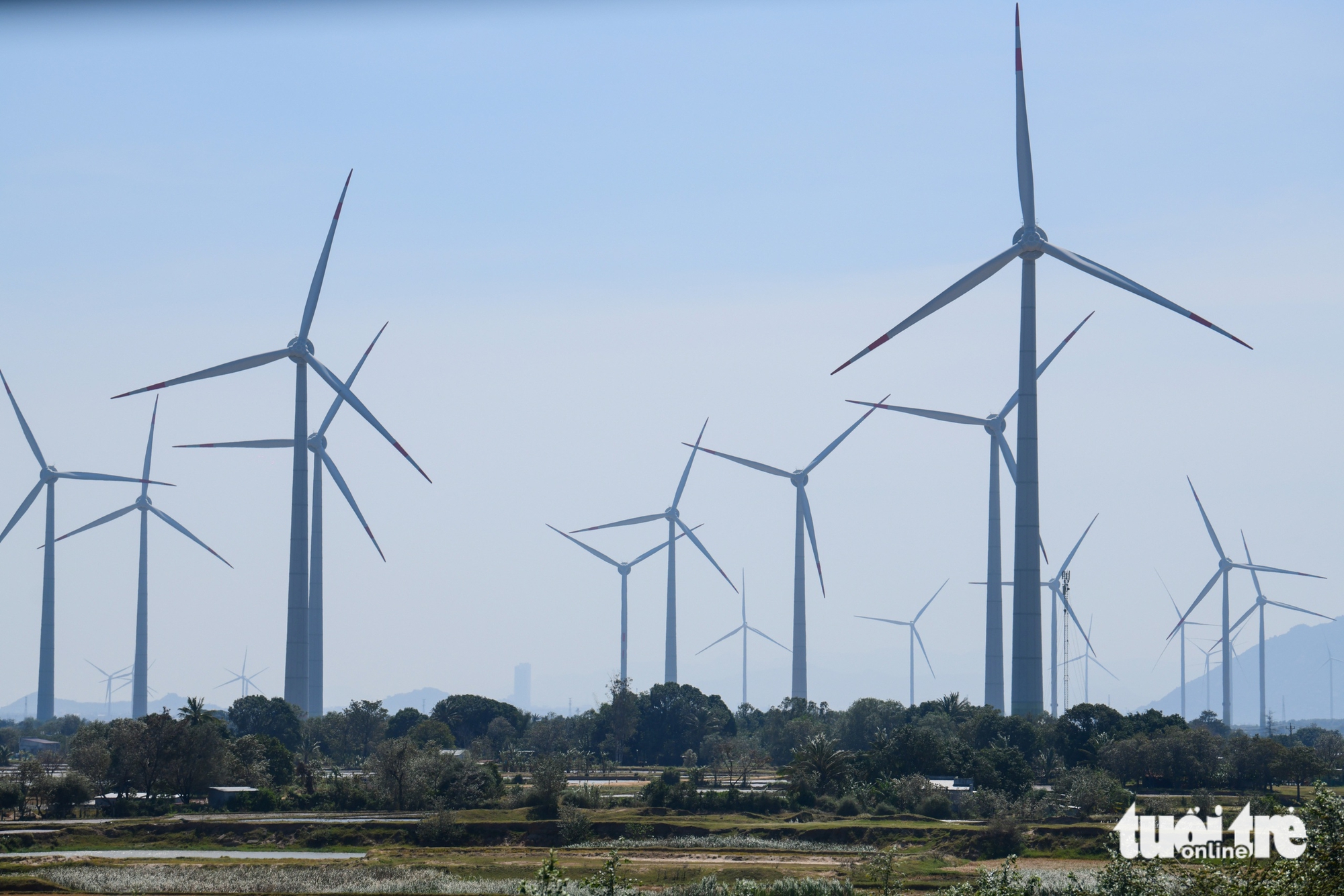 năng lượng - Ảnh 1.