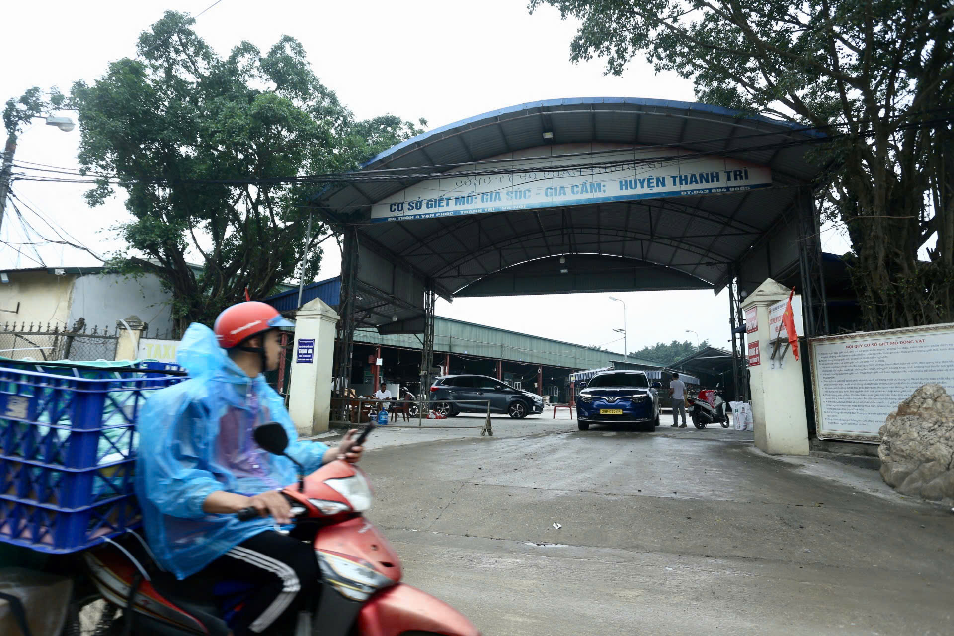 Hồ sơ cung ứng thịt heo của Cường Phát có những gì mà 'qua mắt' được khách hàng? 2 thịt heo - Ảnh 2.