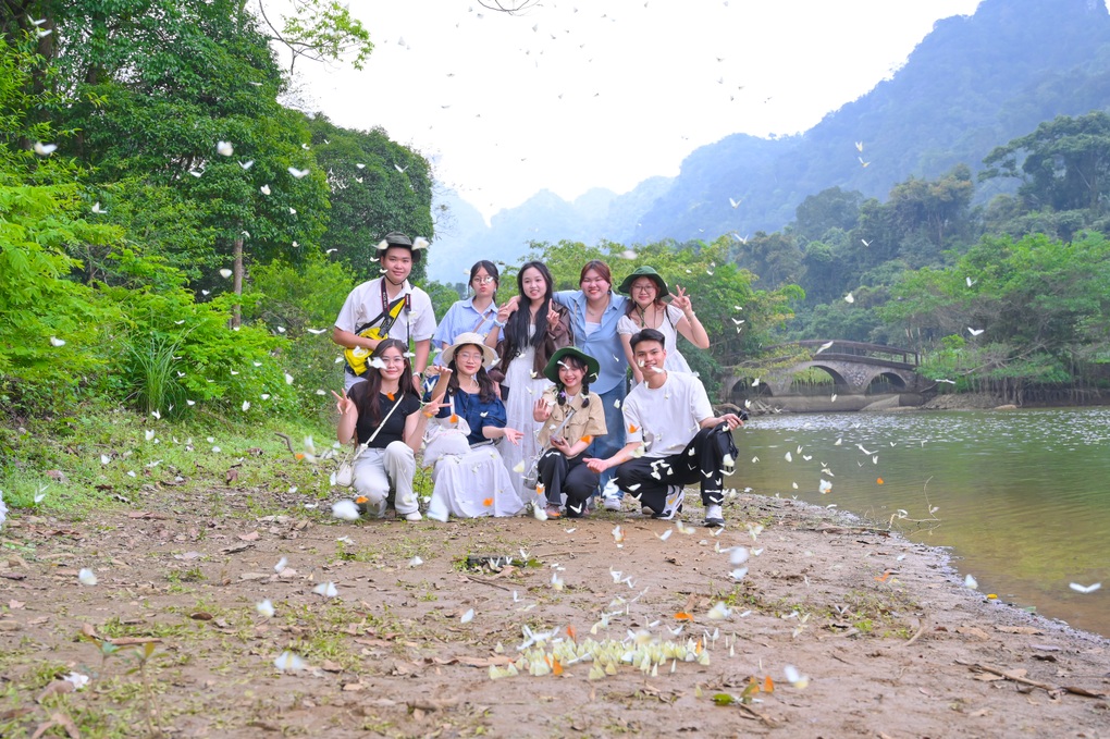 Khách Hà Nội dậy từ 4h, di chuyển 100km đến Cúc Phương chụp ảnh với bướm - 1