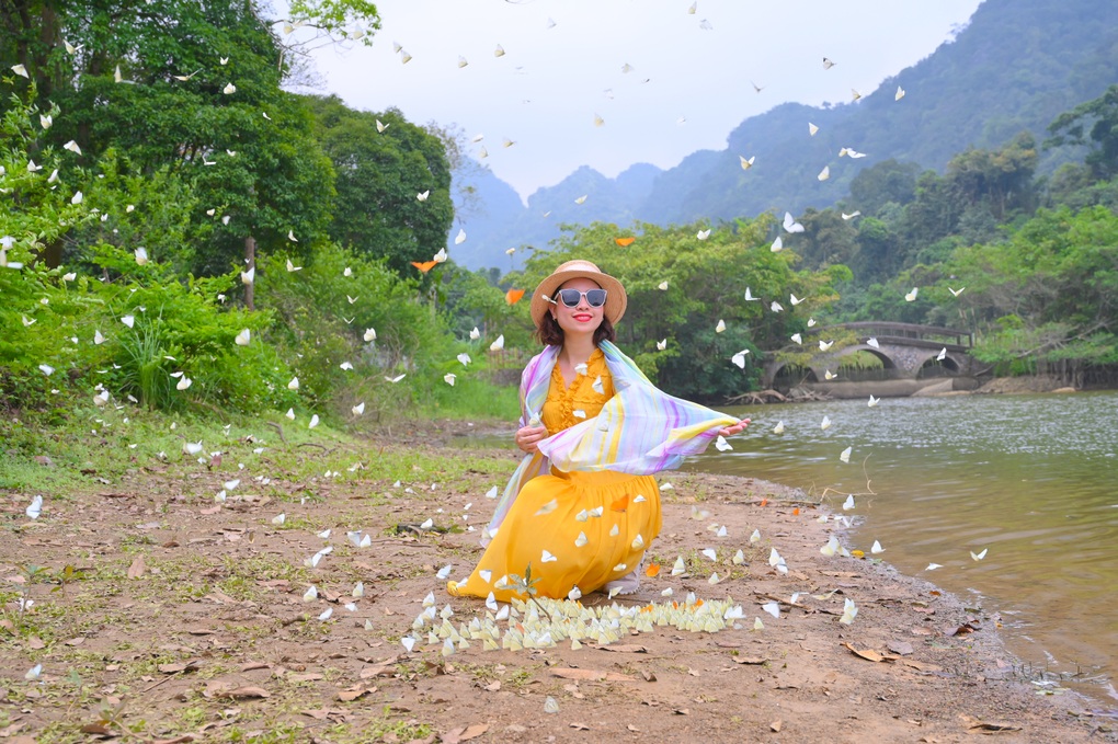 Khách Hà Nội dậy từ 4h, di chuyển 100km đến Cúc Phương chụp ảnh với bướm - 2