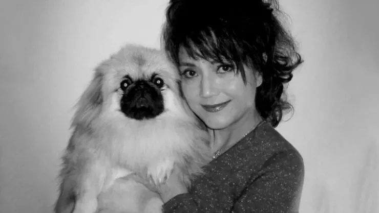 Khán giả bàng hoàng khi mỹ nhân Ỷ Thiên Đồ Long Ký đột ngột qua đời 1 Diễn viên Thi Minh qua đời ở tuổi 74. Sohu.