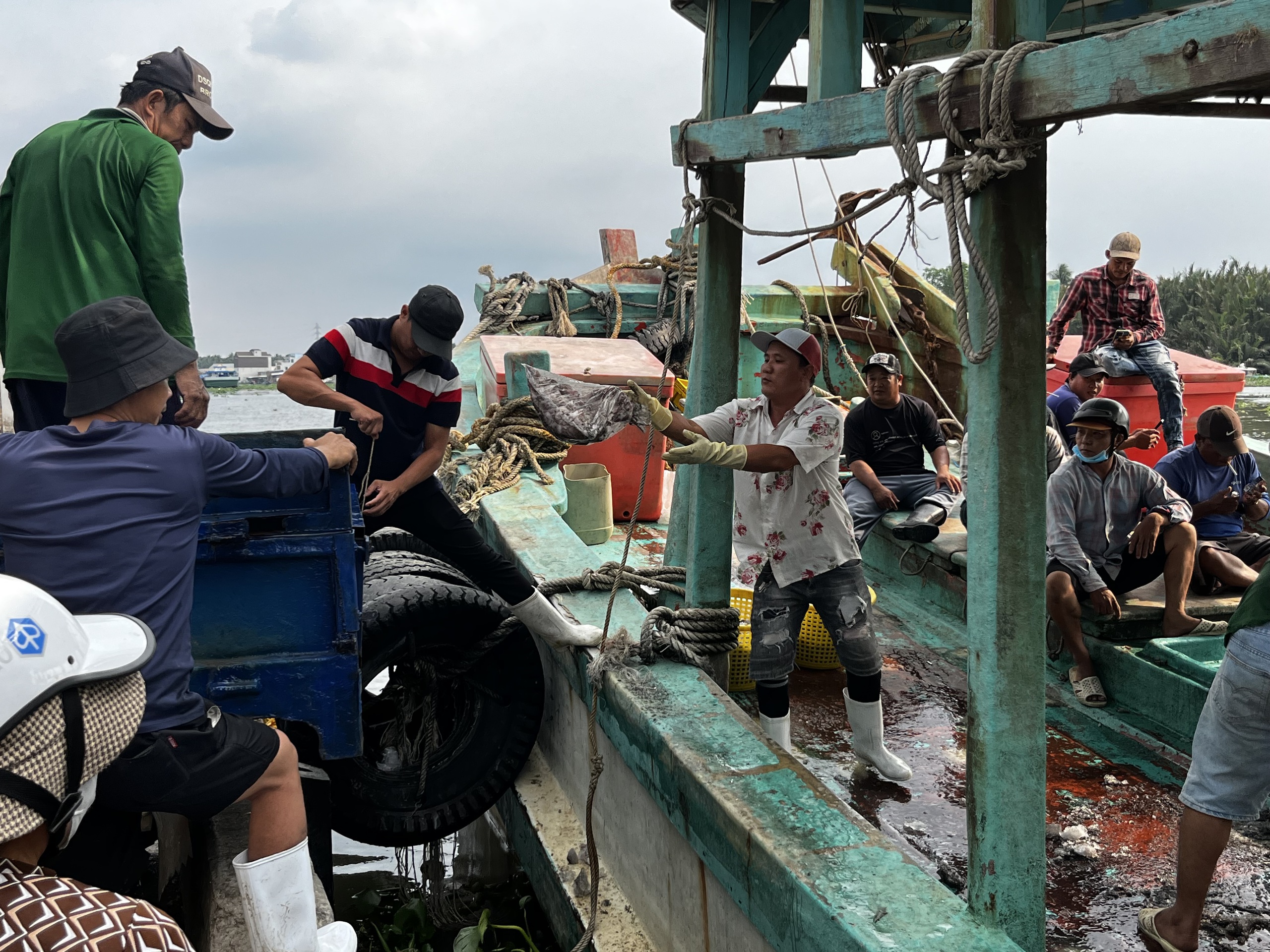 An Giang quyết liệt gỡ thẻ vàng IUU , Khởi tố 55 vụ vi phạm khai thác thủy sản - Ảnh 3. An Giang quyết liệt gỡ thẻ vàng IUU , Khởi tố 55 vụ vi phạm khai thác thủy sản - Ảnh 3.
