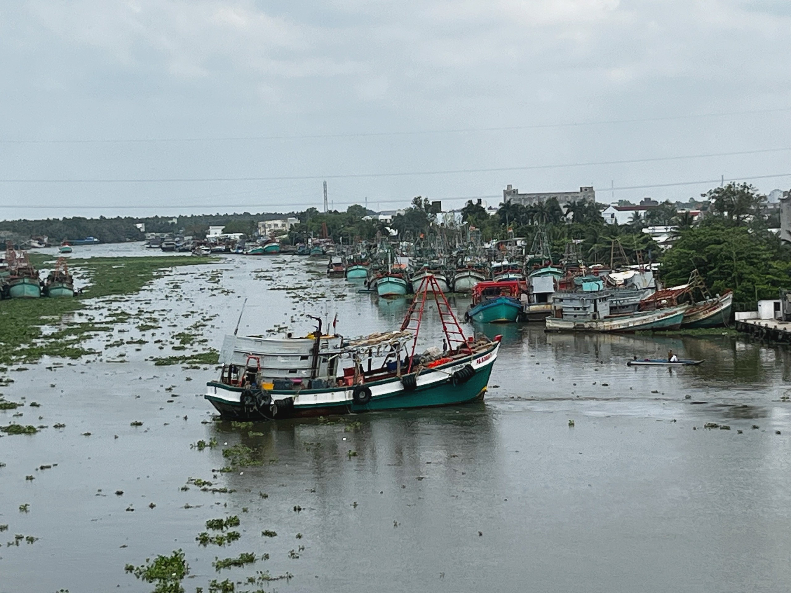 An Giang quyết liệt gỡ thẻ vàng IUU , Khởi tố 55 vụ vi phạm khai thác thủy sản - Ảnh 1. An Giang quyết liệt gỡ thẻ vàng IUU , Khởi tố 55 vụ vi phạm khai thác thủy sản - Ảnh 1.