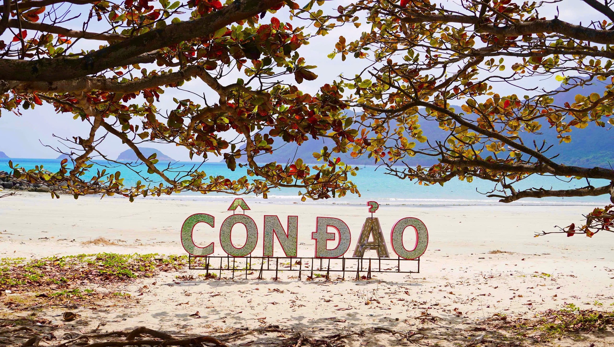 Chủ tịch UBND TPHCM Nguyễn Văn Được: Không đánh đổi môi trường để phát triển Côn Đảo - Ảnh 1.