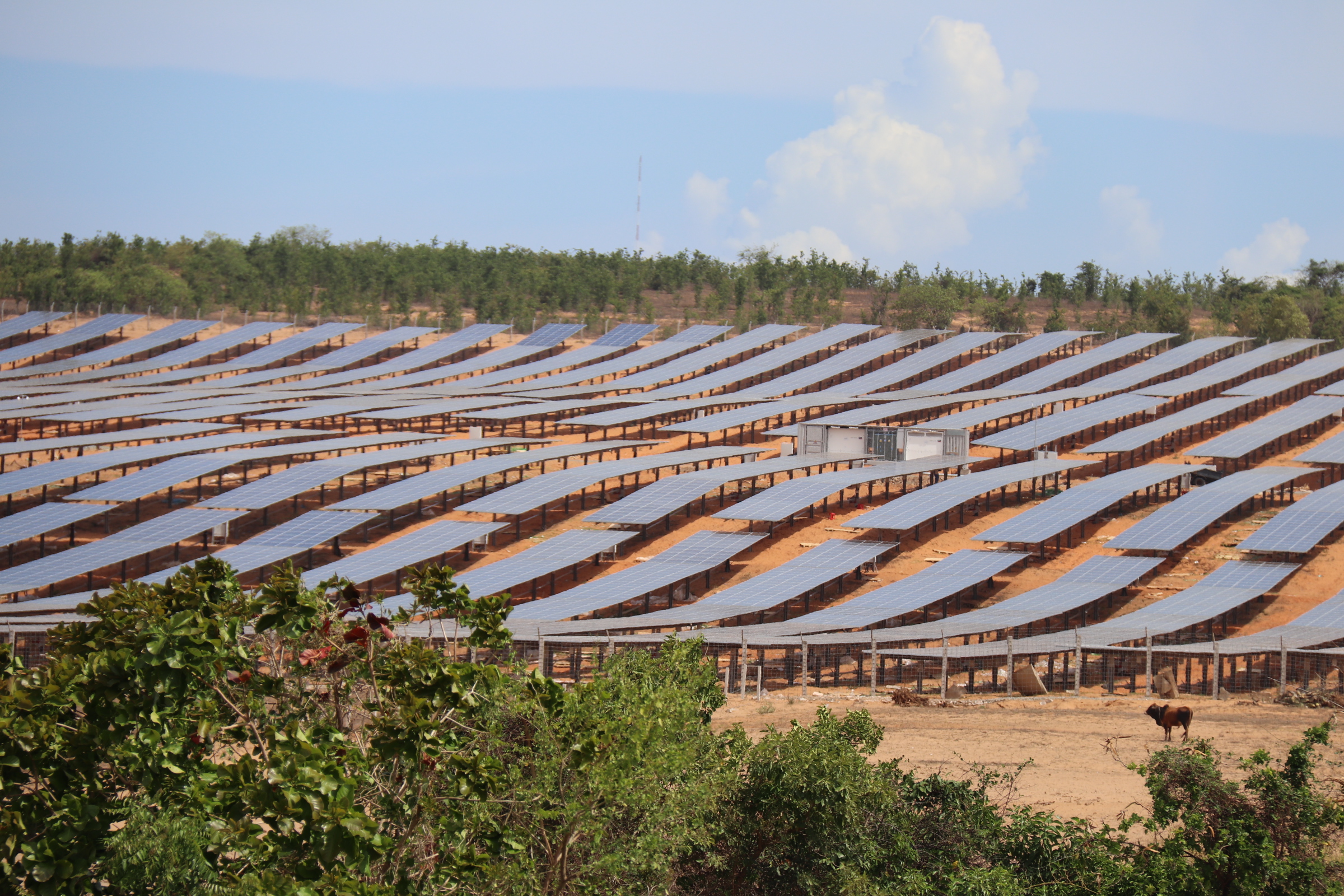 - Ảnh 2. - Ảnh 2.