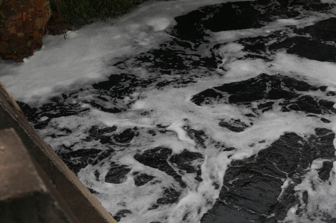 Ngoài tưới Bắc Hưng Hải ngày nay còn phải tiếp nhận nước thải lớn. Ảnh: Gia Chính